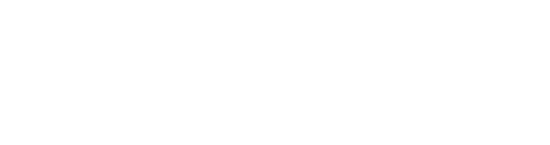 Digicon